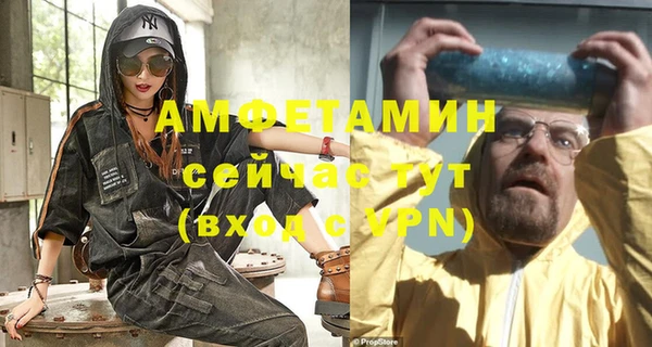 прущие грибы Баксан